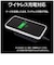 ラスタバナナ　iPhone 17 Pro Maxケース ZEROSAFE 極 回転スタンド 磁力充電対応 FBK ブラック 9102IP5DZSFBK