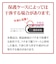 ラスタバナナ　iPhone 17e フィルム 貼付革命 ガラス 光沢 MTK5293IP6E