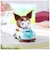 タカラトミー　TOMICA （トミカ）TUNES SANRIO CHARACTERS （サンリオキャラクターズ）Vol.2【単品】 ﾁｭｰﾝｽﾞｻﾝﾘｵ2