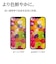 ラスタバナナ　iPhone15 Pro 6.1インチ ブルーライトカット 高光沢フィルム E4001IP361P