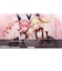 MAGES.　Switch2ゲームソフト STEINS；GATE RE：BOOTBEE-P-AB55A<br>★こちらの商品は人気商品のため、色違い・仕様違い等含め「一家族１台限り」でのご協力をお願いしております。