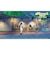 GAMESOURCEENTERTAI　Switch2ゲームソフト Starsand Island(スターサンド・アイランド)ｽﾀｰｻﾝﾄﾞｱｲﾗﾝﾄﾞ<br>★こちらの商品は人気商品のため、色違い・仕様違い等含め「一家族１台限り」でのご協力をお願いしております。