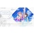 コーエーテクモゲームス　Switchゲームソフト BLUE REFLECTION Quartet： 少女たちのキセキ プレミアムボックスﾌﾞﾙｰﾘﾌﾚｸｼｮﾝｶﾙﾃｯﾄPBOX<br>★こちらの商品は人気商品のため、色違い・仕様違い等含め「一家族１台限り」でのご協力をお願いしております。