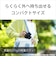 ソニー　ミラーレス一眼カメラ ZVE10M2KWQ