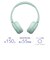ソニー　ブルートゥースヘッドホン ［オーバーヘッド型 / Bluetooth対応］ ミント WHCH530GZ