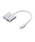 エレコム　USB Type-C HDMI 変換アダプタ PD100W充電ポート搭載 4K対応 ( USB-Cポート搭載 iPhone iPad MacBook 等対応 ) ミラーリング 大画面出力 簡単接続 ADCHDMIPD100SV