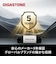 GIGASTONE　USBメモリ USB 3.2 2in1 OTG ［64GB / USB TypeA＋USB TypeC / USB2.0 / キャップ式］ GJU2SPAC44S64GB