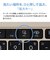 NEC　ノートパソコン LAVIE N16 [ Copilot＋ PC / 16型 / Win11 Home / Ryzen AI 5 / メモリ16GB / SSD256GB / Office選択可能 ] クラリスゴールド PCN1665MAG