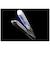 CARE PRO　DEEP ケアプロディープ トリートメント浸透促進 超音波アイロン 充電式(コードレス) CUI01