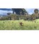 任天堂　Switch2ゲームソフト ゼノブレイド ディフィニティブ・エディション Nintendo Switch 2 Edition ｾﾞﾉﾌﾞﾚｲﾄﾞﾃﾞｨﾌｨﾆﾃｨﾌﾞ<br>★こちらの商品は人気商品のため、色違い・仕様違い等含め「一家族１台限り」でのご協力をお願いしております。