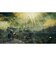 フロムソフトウェア　Switch2ゲームソフト ELDEN RING Tarnished Edition POT-P-AAF6C<br>★こちらの商品は人気商品のため、色違い・仕様違い等含め「一家族１台限り」でのご協力をお願いしております。