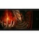 フロムソフトウェア　Switch2ゲームソフト ELDEN RING Tarnished Edition POT-P-AAF6C<br>★こちらの商品は人気商品のため、色違い・仕様違い等含め「一家族１台限り」でのご協力をお願いしております。