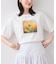 フォト＆ロゴアソートプリントTシャツ/接触冷感・汗染み防止