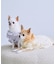 【DOG】フリルワンピース