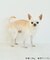 【DOG】フリルワンピース
