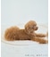 【DOG】フリルワンピース