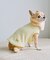 【DOG】パイピングタンクトップ