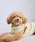 【DOG】パイピングタンクトップ