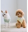 【DOG】パイピングタンクトップ