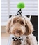 【DOG】【comif(コミフ)×ROPE' PICNIC】バースデーセット