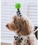【DOG】【comif(コミフ)×ROPE' PICNIC】バースデーセット