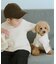 【DOG】ケーブル編みニットマフラー