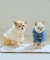 【DOG】ニットポンチョ