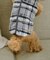 【DOG】チェック柄シャギーベスト