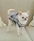 【DOG】チェック柄シャギーベスト