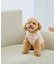 【DOG】チェック柄シャギーベスト