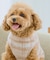 【DOG】チェック柄シャギーベスト