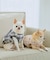 【DOG】チェック柄シャギーベスト