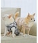 【DOG】チェック柄シャギーベスト