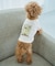 【DOG】RENU photo Tee/UVカット・接触冷感・リンクコーデ