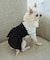 【DOG】シャーリングワンピース/リンクコーデ