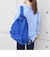 STANDARD SUPPLY:SIMPLICITY / DAILY DAYPACK（17L）◇