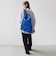 STANDARD SUPPLY:SIMPLICITY / DAILY DAYPACK（17L）◇