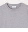 SHIPS any: 〈手洗い可能〉コットン カシミヤ スウェットライク ニット 24FW◇
