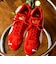 PUMA: SPEEDCAT OG