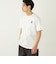 SHIPS Colors: TeddyBear(R) プリント & ステッチ Tシャツ◇