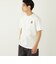 SHIPS Colors: TeddyBear(R) プリント & ステッチ Tシャツ◇