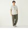 SHIPS Colors: TeddyBear(R) プリント & ステッチ Tシャツ◇