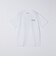 【City Ambient Products別注】Ben Lenovitz: DOG CAT Tシャツ