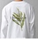 【SHIPS any別注】NYBG: ボタニカル プリント リラックス Tシャツ (ロンT)◇