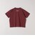 【SHIPS any別注】Collegiate Pacific:〈洗濯機可能〉V ガゼット プリント & 刺繍 Tシャツ