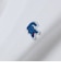 【SHIPS別注】LACOSTE: ドロップテイル ポロシャツ
