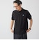 【SHIPS別注】LACOSTE: ドロップテイル ポロシャツ
