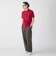 【SHIPS別注】LACOSTE: ドロップテイル ポロシャツ