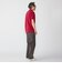 【SHIPS別注】LACOSTE: ドロップテイル ポロシャツ