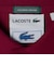 【SHIPS別注】LACOSTE: ドロップテイル ポロシャツ